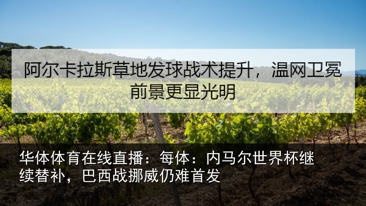 华体体育在线直播：每体相关情况替补相关情况发