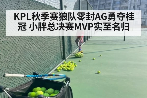 KPL秋季赛狼队零封AG勇夺桂冠 小胖总决赛MVP实至名归