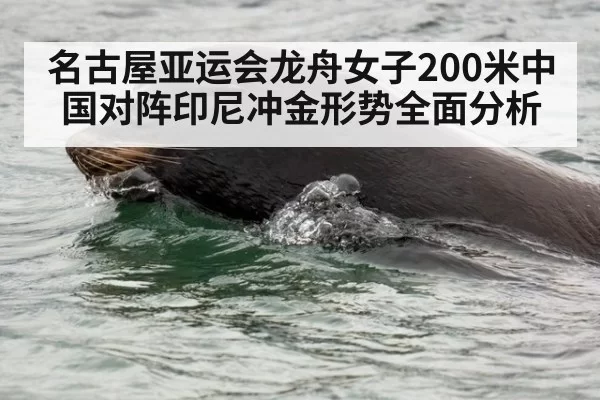 名古屋亚运会龙舟女子200米中国对阵印尼冲金形势全面分析